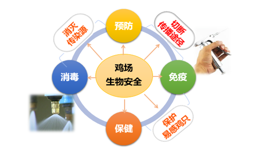 OG东方厅·(中国集团)官方网站