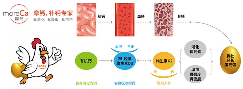微信图片_20210311175419 微信图片_20210311175419