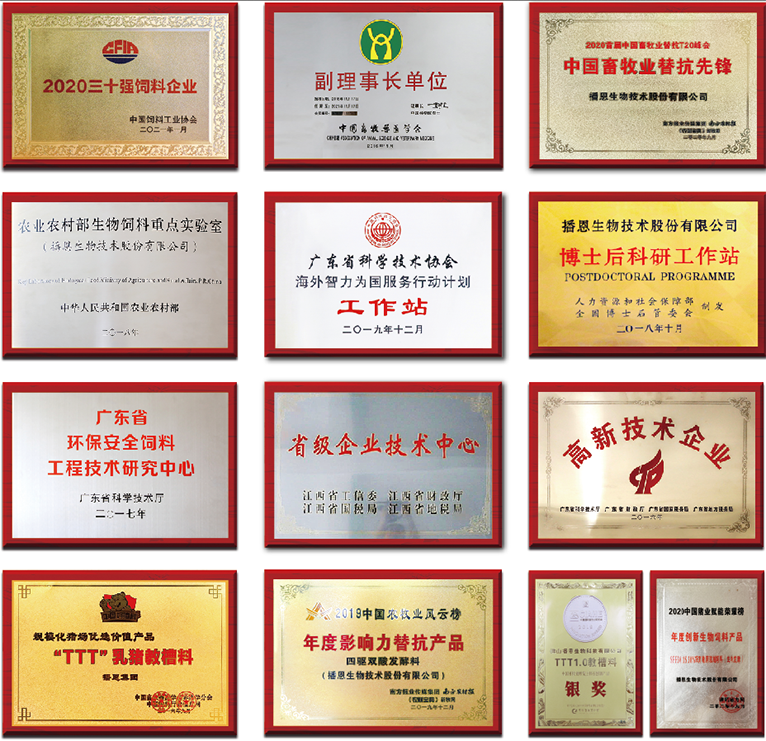 OG东方厅·(中国集团)官方网站